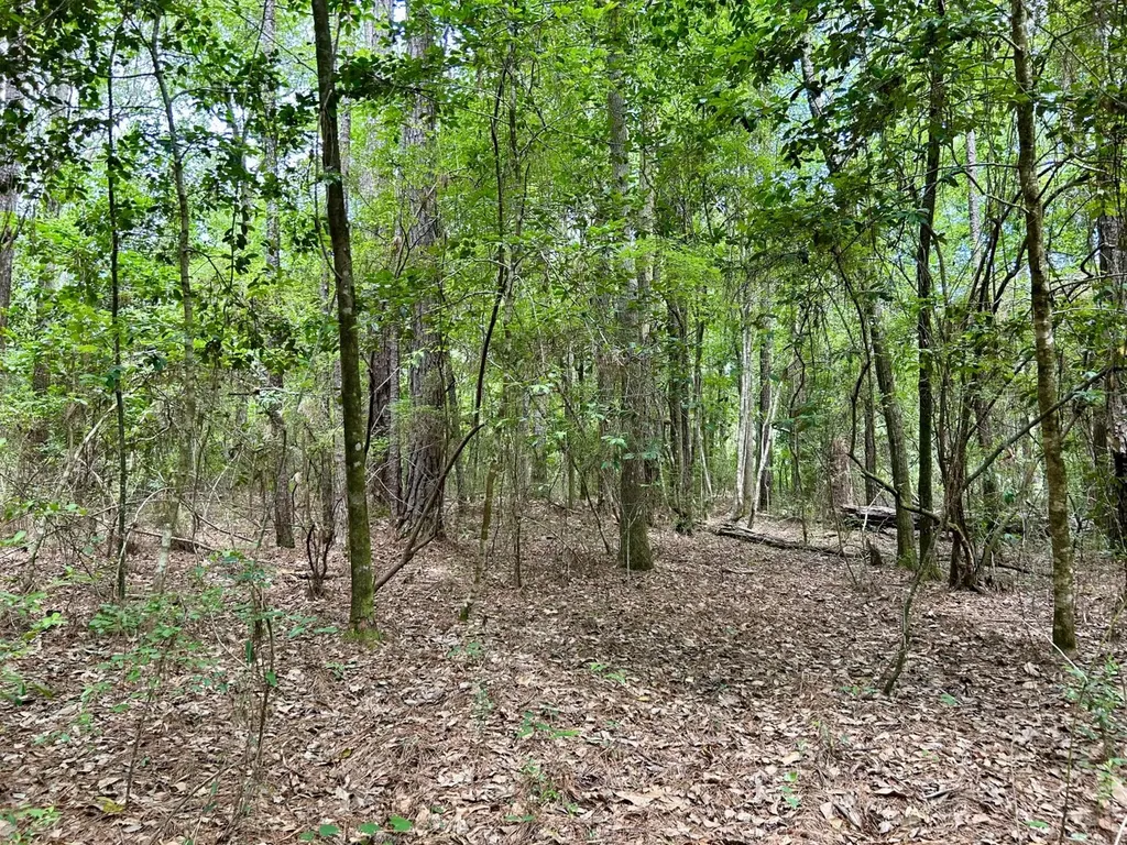 0 State Highway 59 Stockton AL 36579