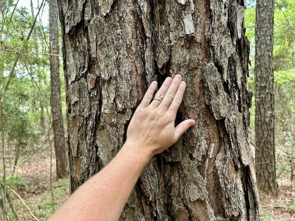 0 State Highway 59 Stockton AL 36579