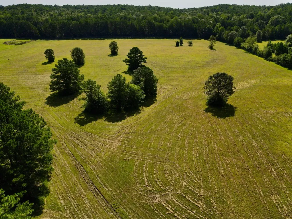 0 Highway 145 Shelby AL 35143