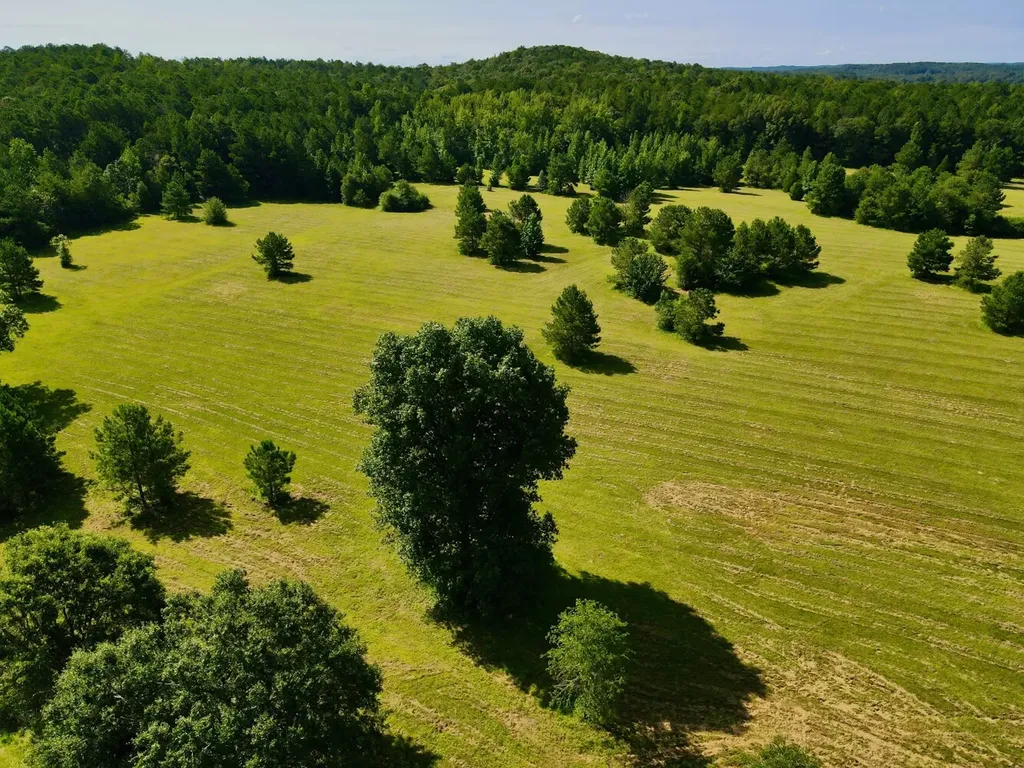 0 Highway 145 Shelby AL 35143