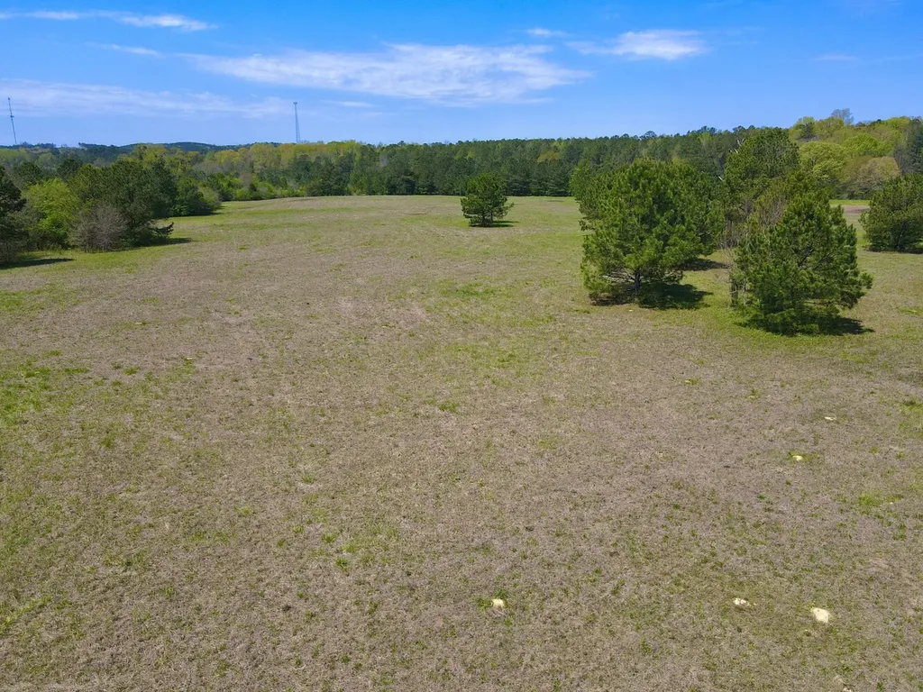 0 Highway 145 Shelby AL 35143