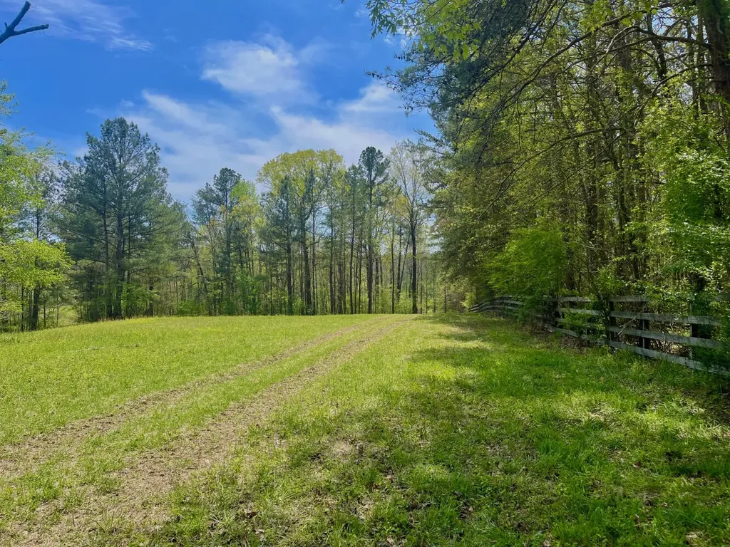 0 Highway 145 Shelby AL 35143