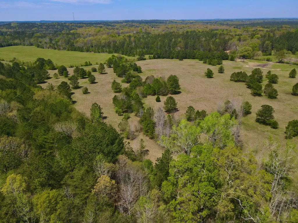 0 Highway 145 Shelby AL 35143