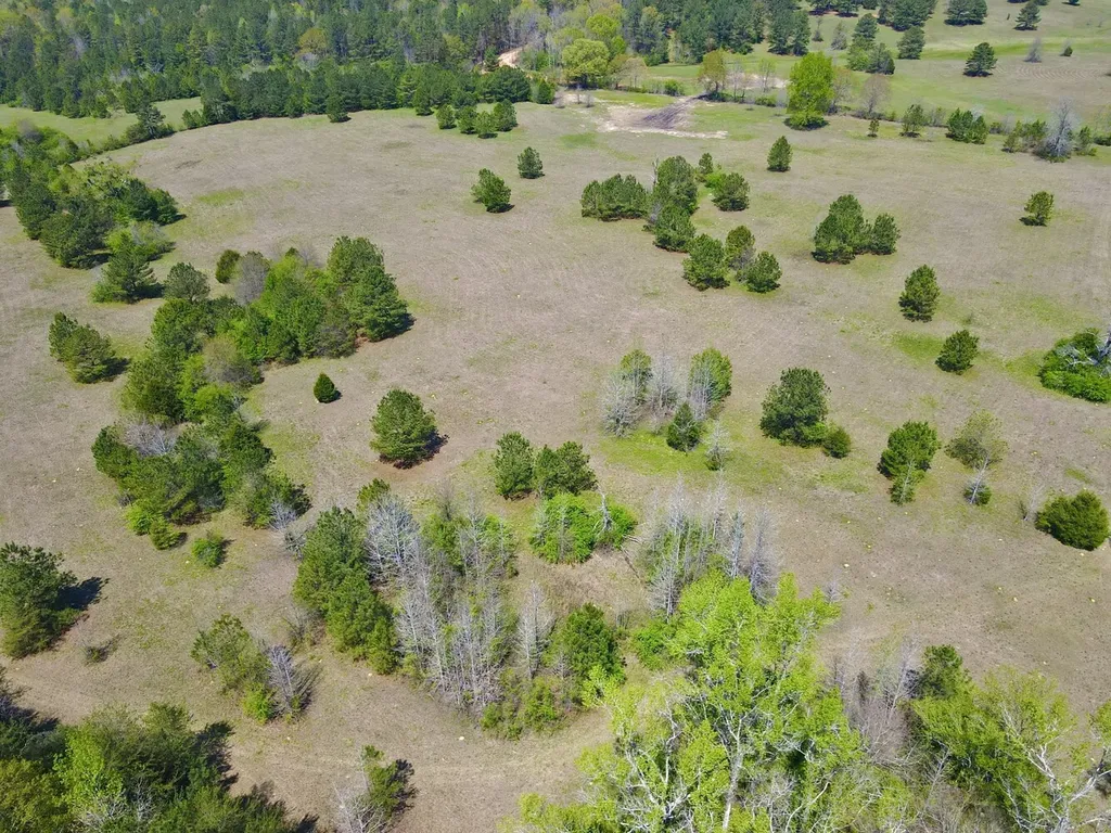 0 Highway 145 Shelby AL 35143