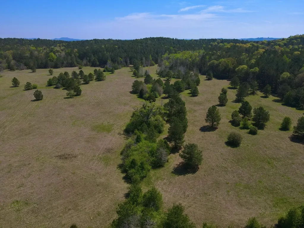 0 Highway 145 Shelby AL 35143