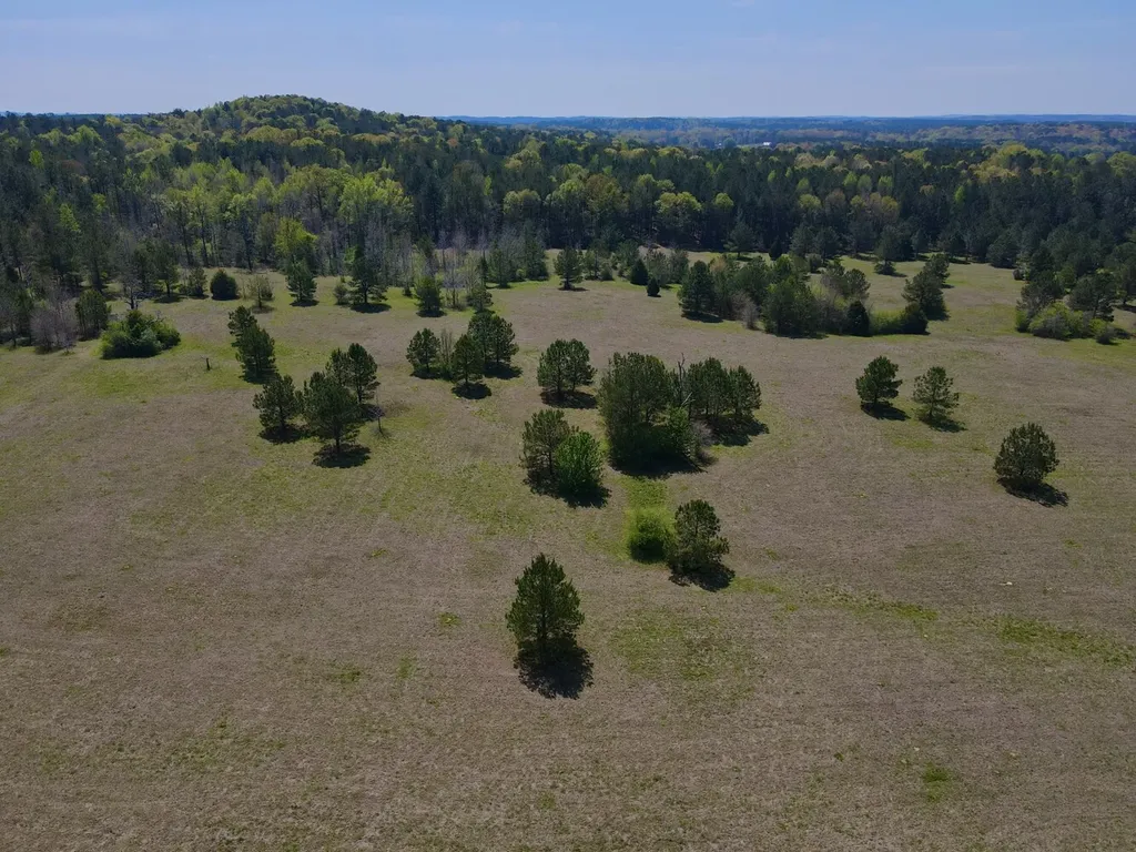 0 Highway 145 Shelby AL 35143