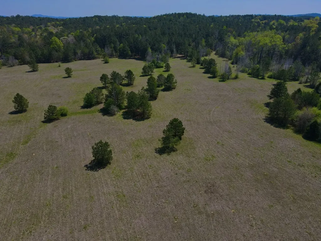 0 Highway 145 Shelby AL 35143