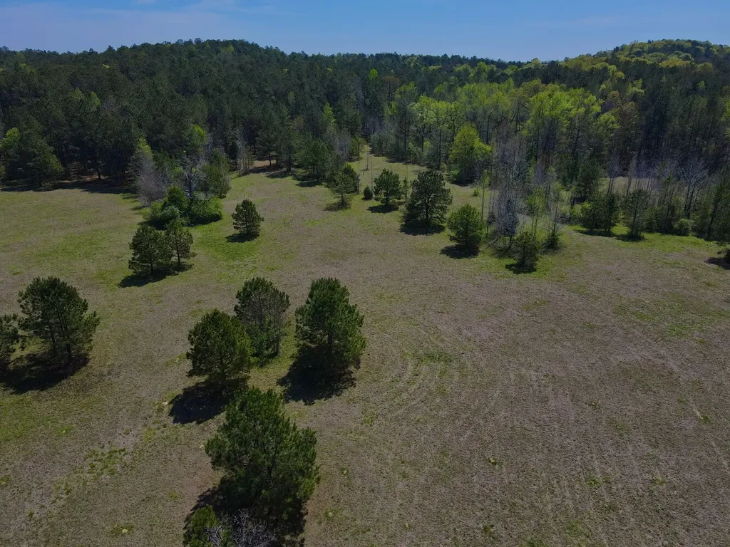 0 Highway 145 Shelby AL 35143