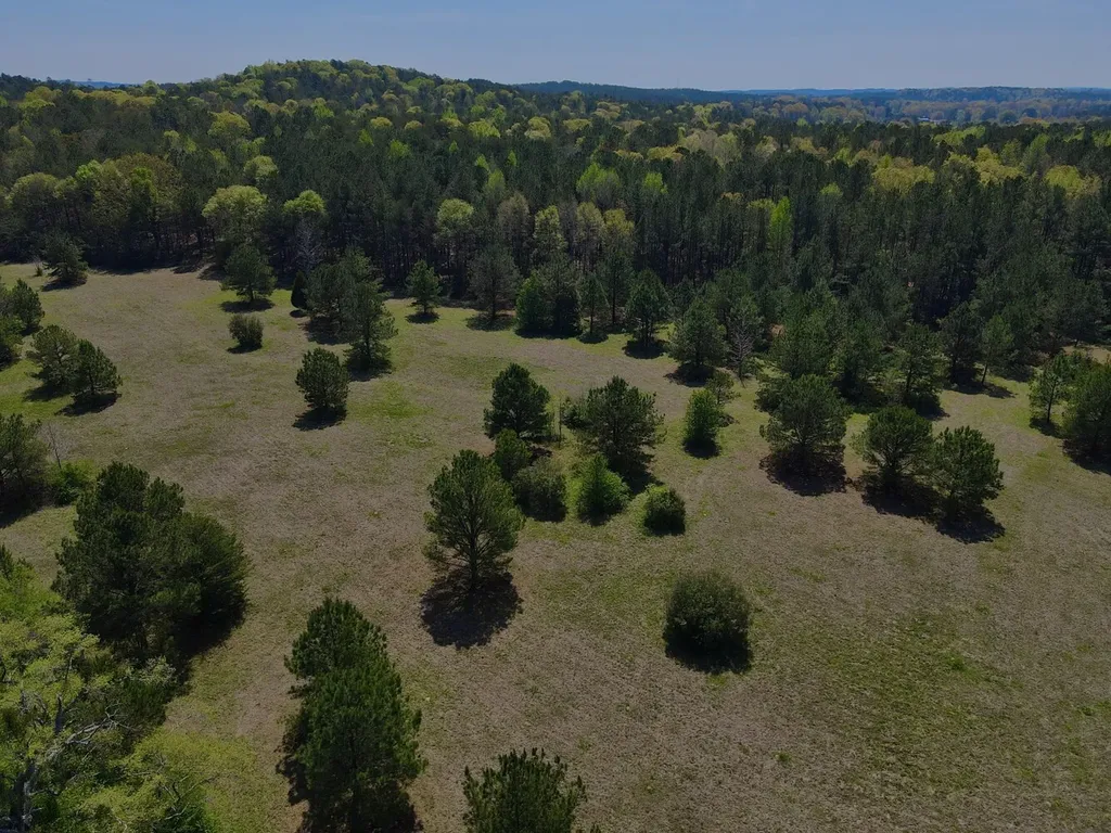 0 Highway 145 Shelby AL 35143