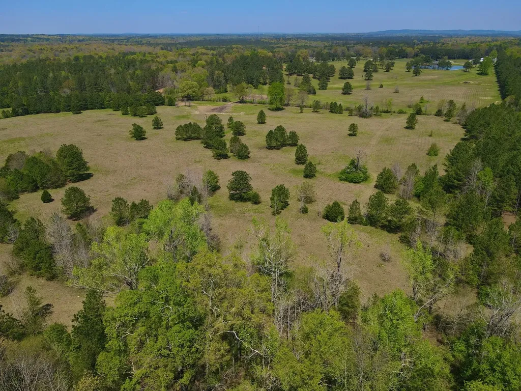 0 Highway 145 Shelby AL 35143