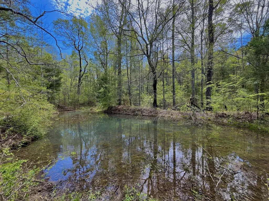 0 Highway 145 Shelby AL 35143