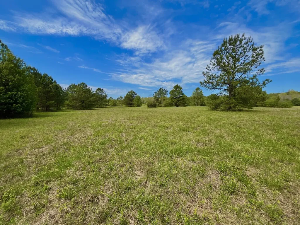 0 Highway 145 Shelby AL 35143