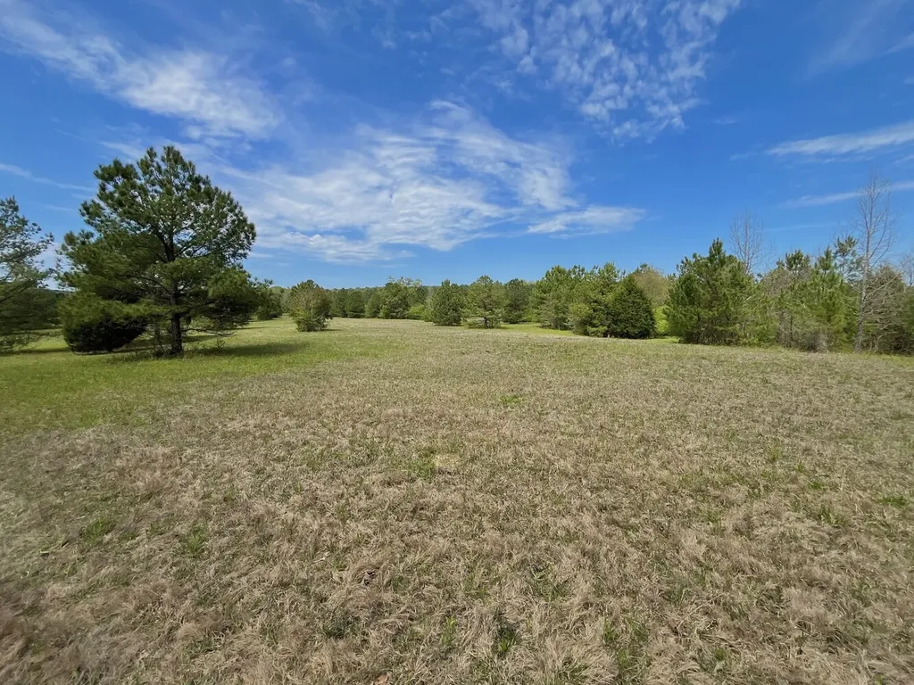 0 Highway 145 Shelby AL 35143