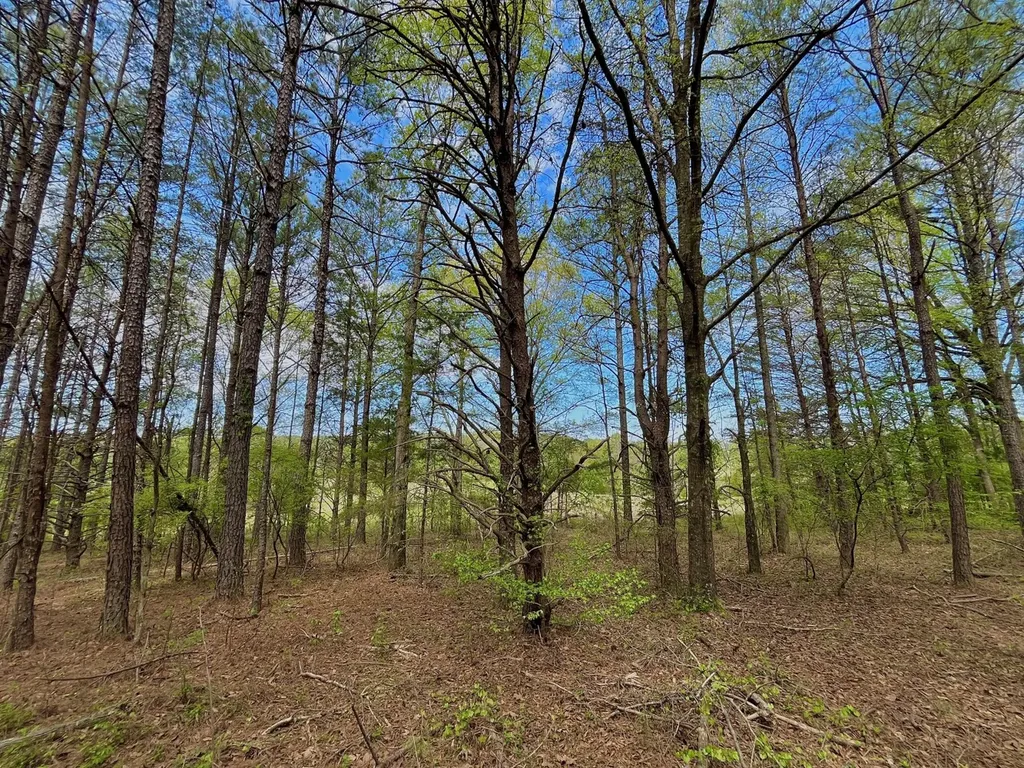 0 Highway 145 Shelby AL 35143