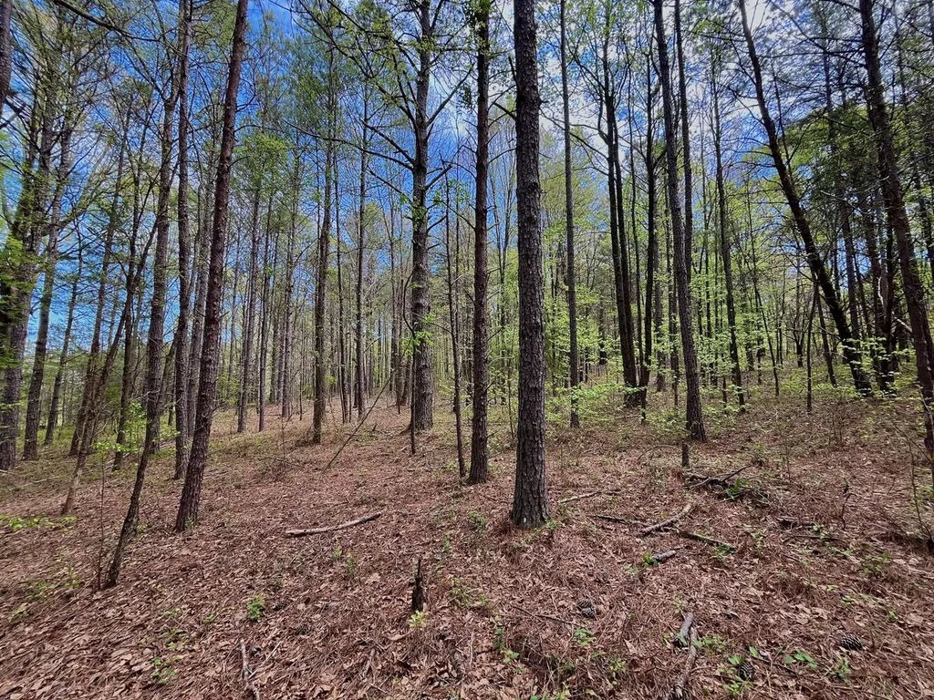 0 Highway 145 Shelby AL 35143