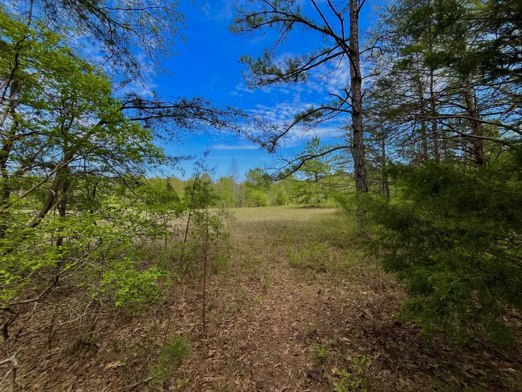 0 Highway 145 Shelby AL 35143