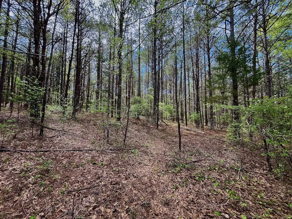 0 Highway 145 Shelby AL 35143