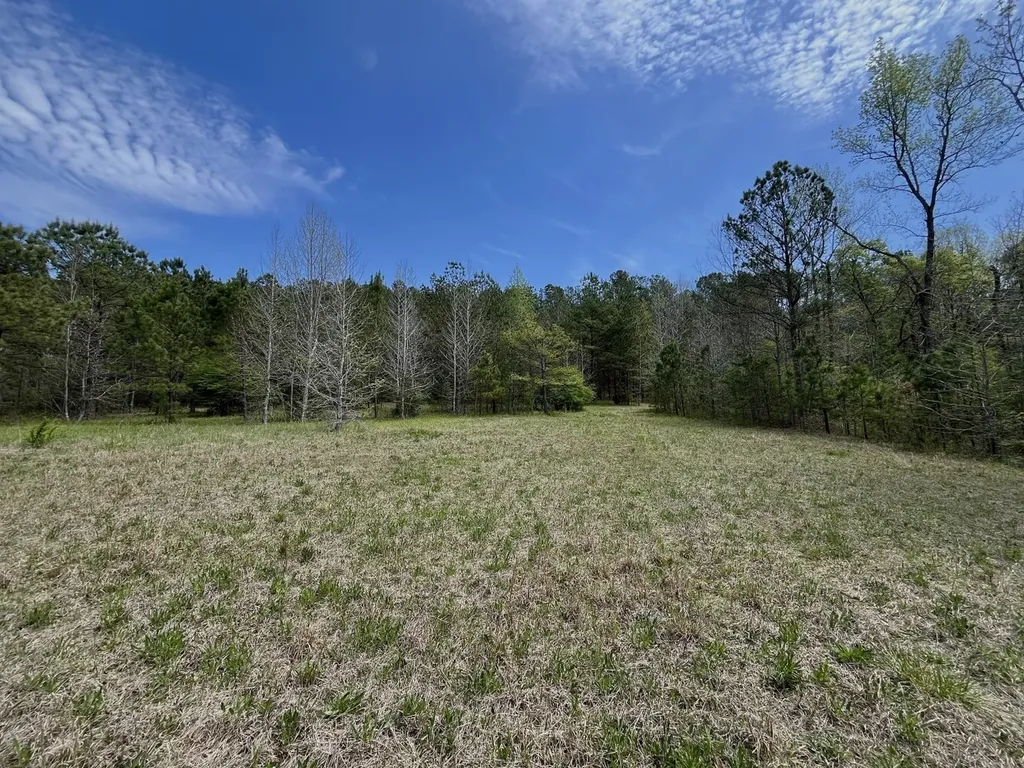 0 Highway 145 Shelby AL 35143