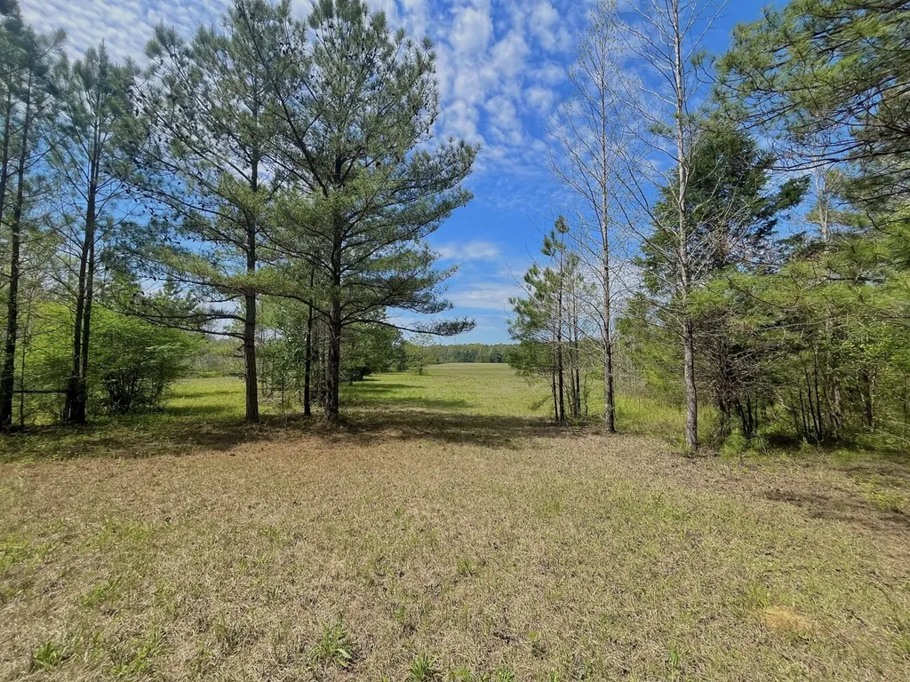 0 Highway 145 Shelby AL 35143