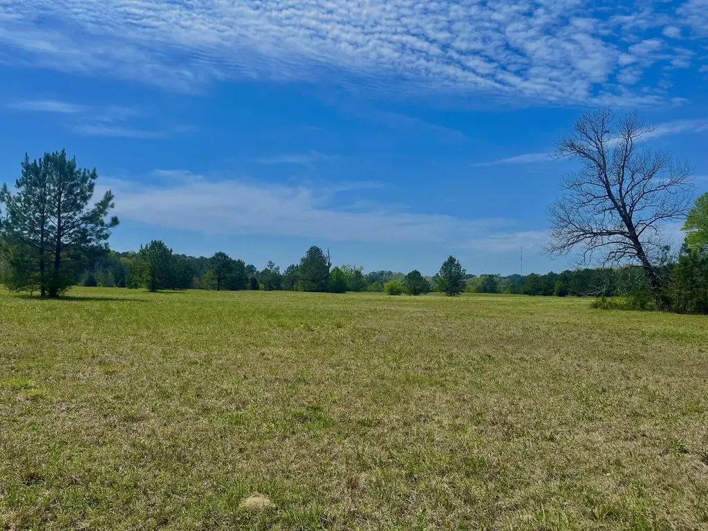 0 Highway 145 Shelby AL 35143