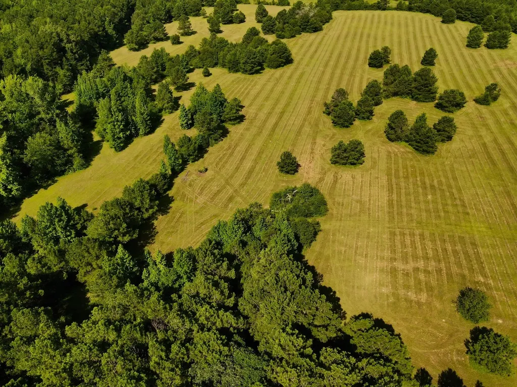 0 Highway 145 Shelby AL 35143