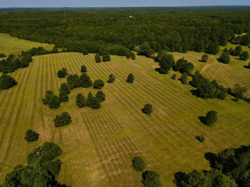 0 Highway 145 Shelby AL 35143