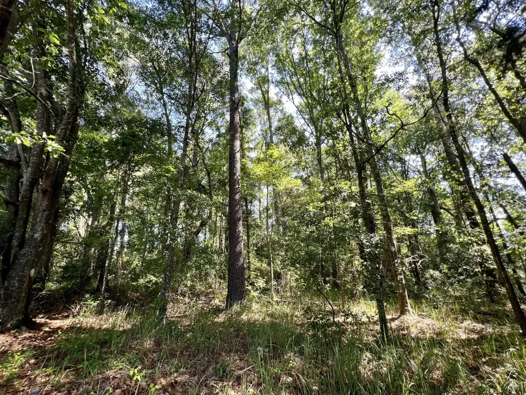 701 Executive Park Drive Mobile AL 36606