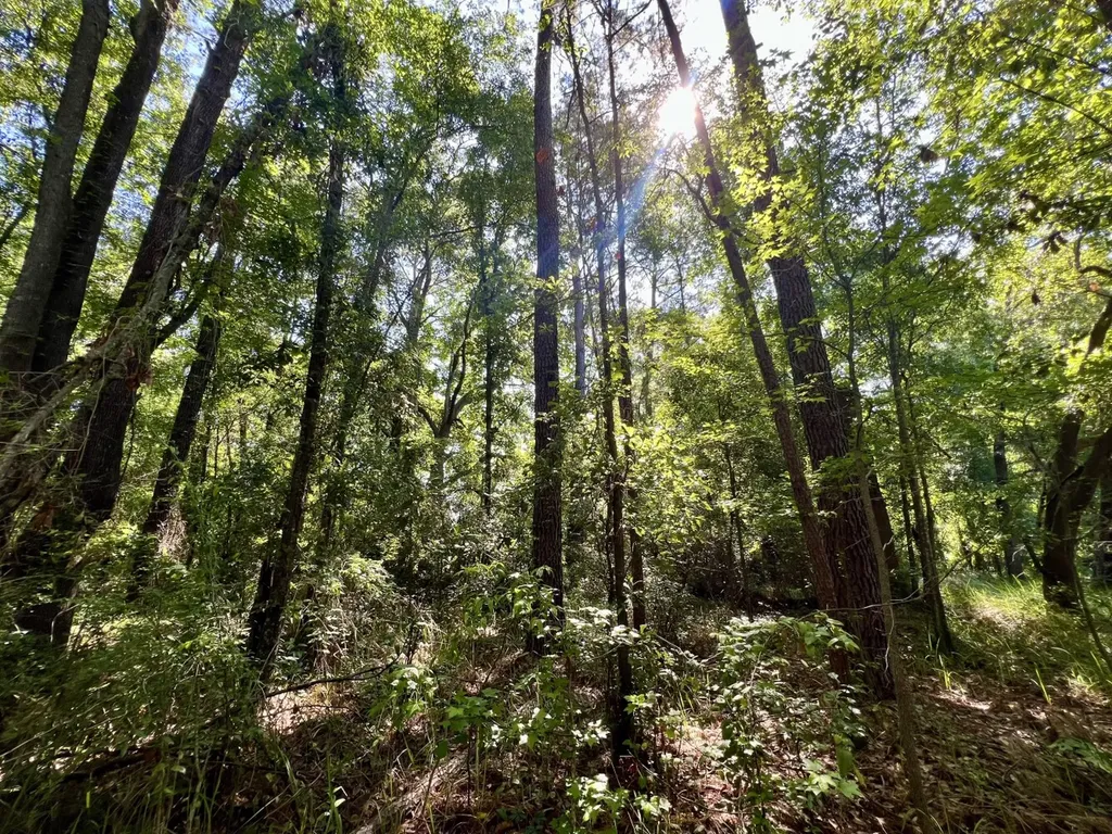 701 Executive Park Drive Mobile AL 36606