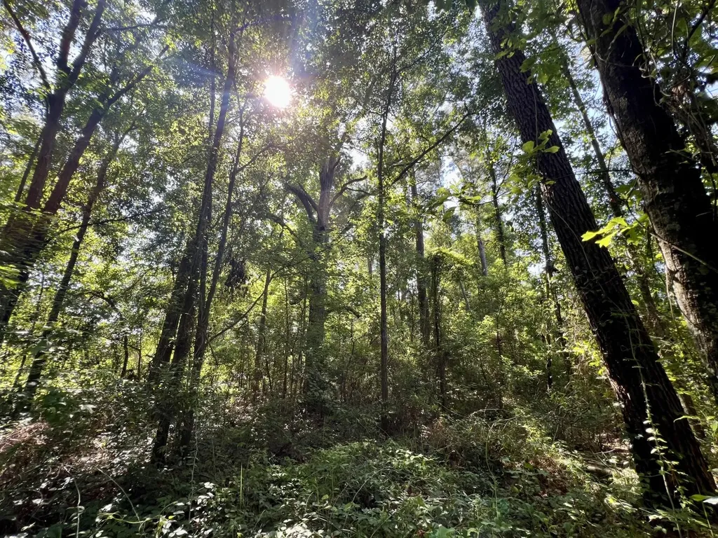 701 Executive Park Drive Mobile AL 36606