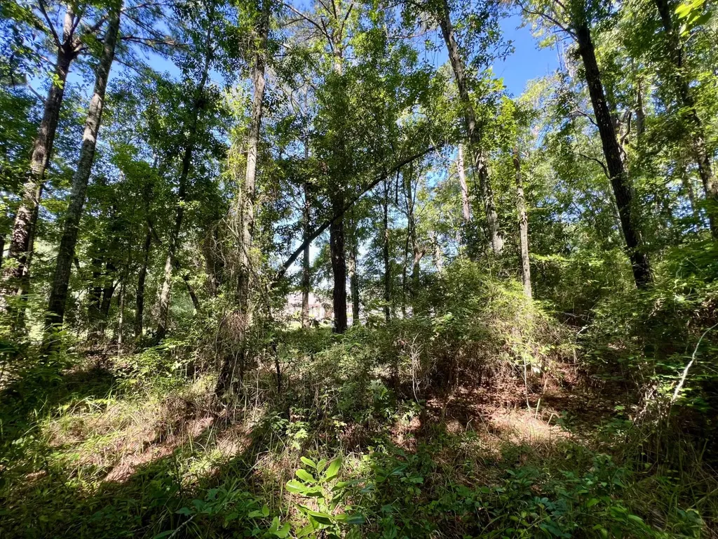 701 Executive Park Drive Mobile AL 36606