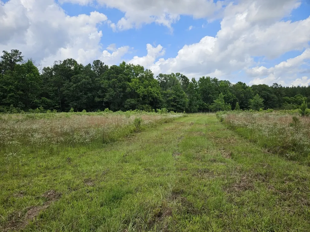 0 Huskey Road Dothan AL 36301