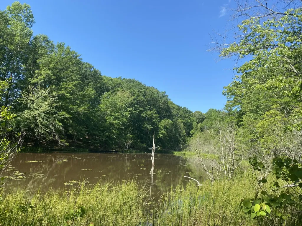 000 Surles Road Lapine AL 36046