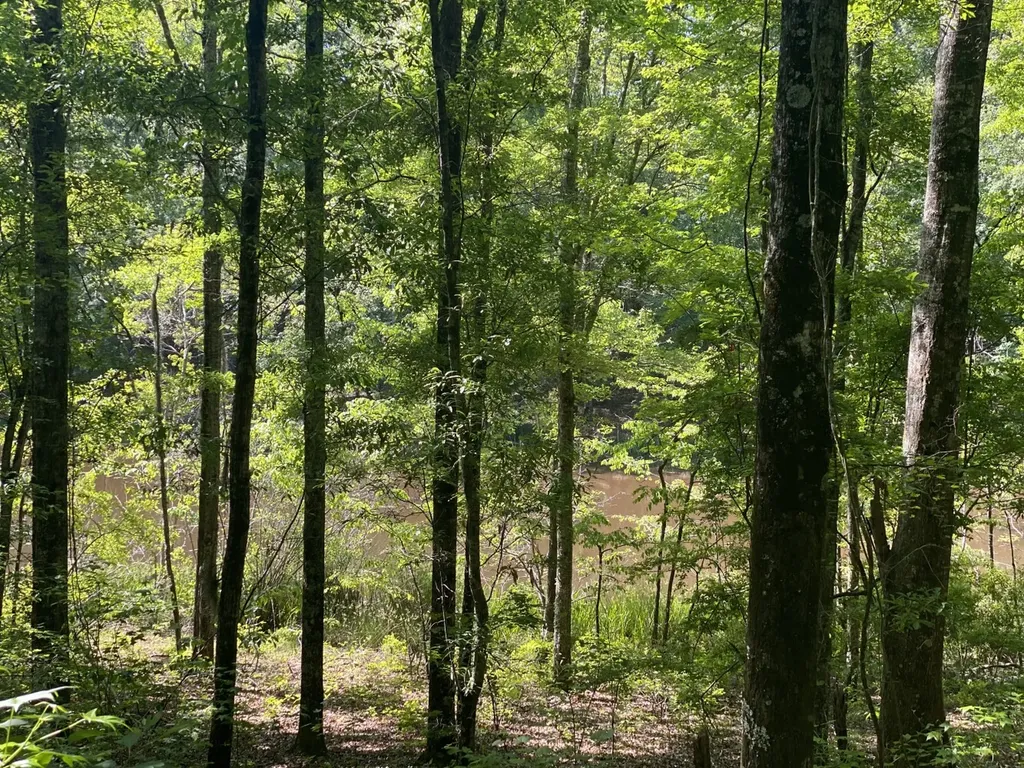 000 Surles Road Lapine AL 36046