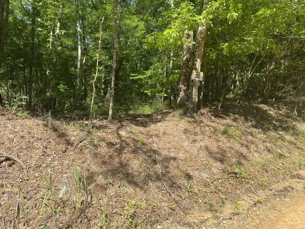 000 Surles Road Lapine AL 36046