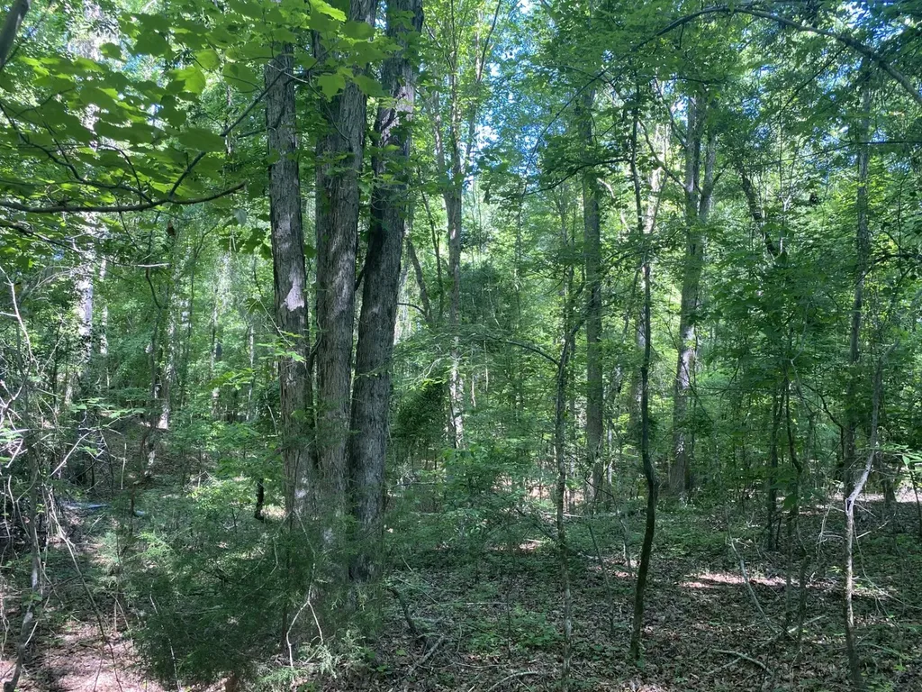 0 Surles Road Lapine AL 36046