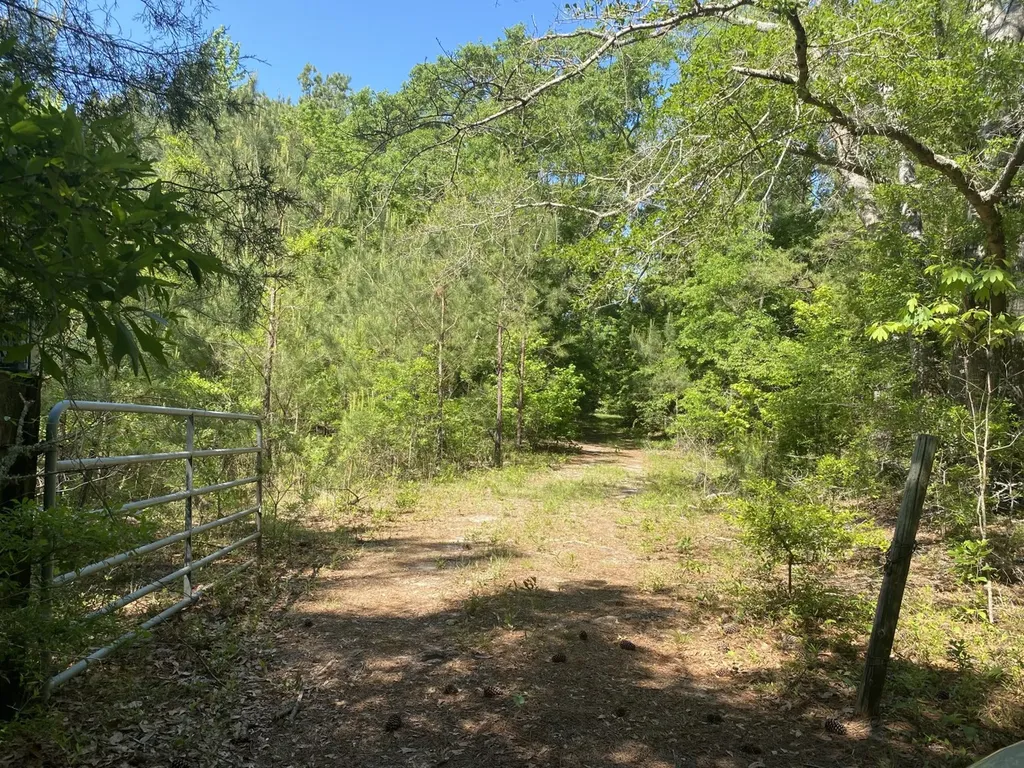 0 Surles Road Lapine AL 36046