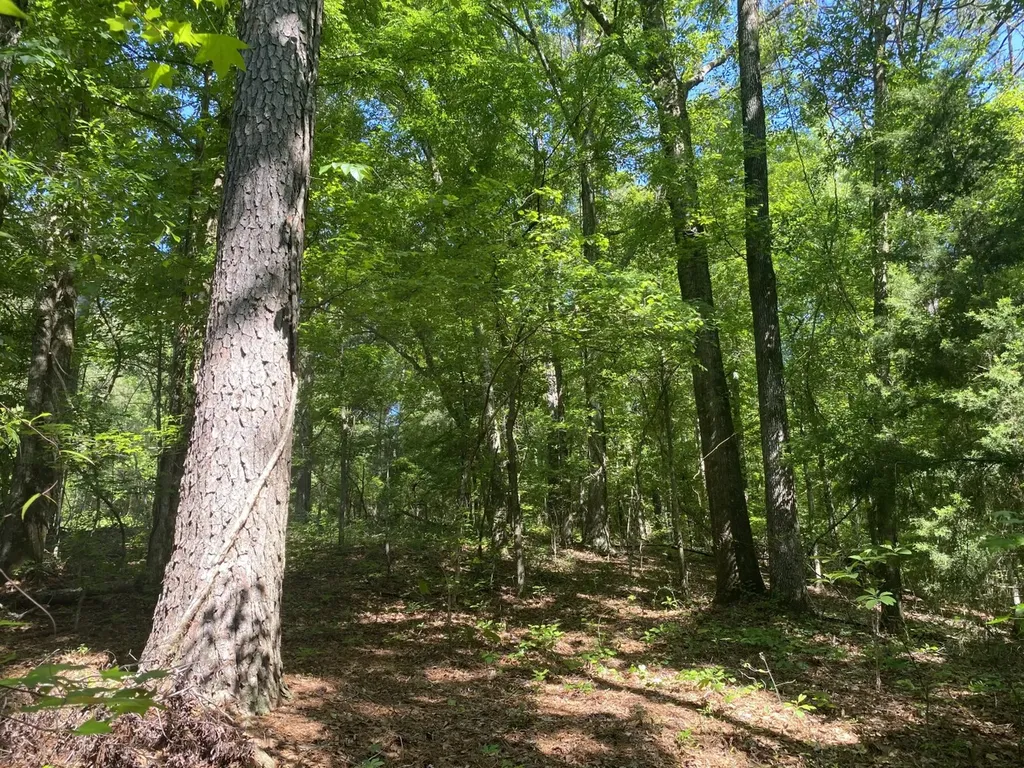 0 Surles Road Lapine AL 36046