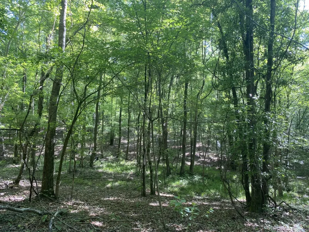 0 Surles Road Lapine AL 36046