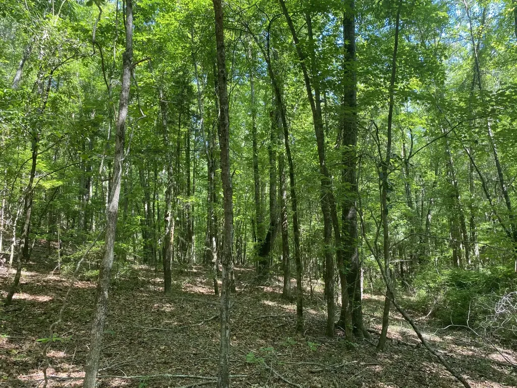 0 Surles Road Lapine AL 36046