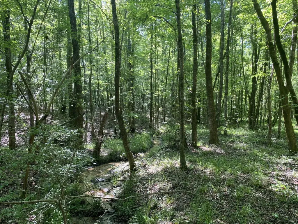 0 Surles Road Lapine AL 36046