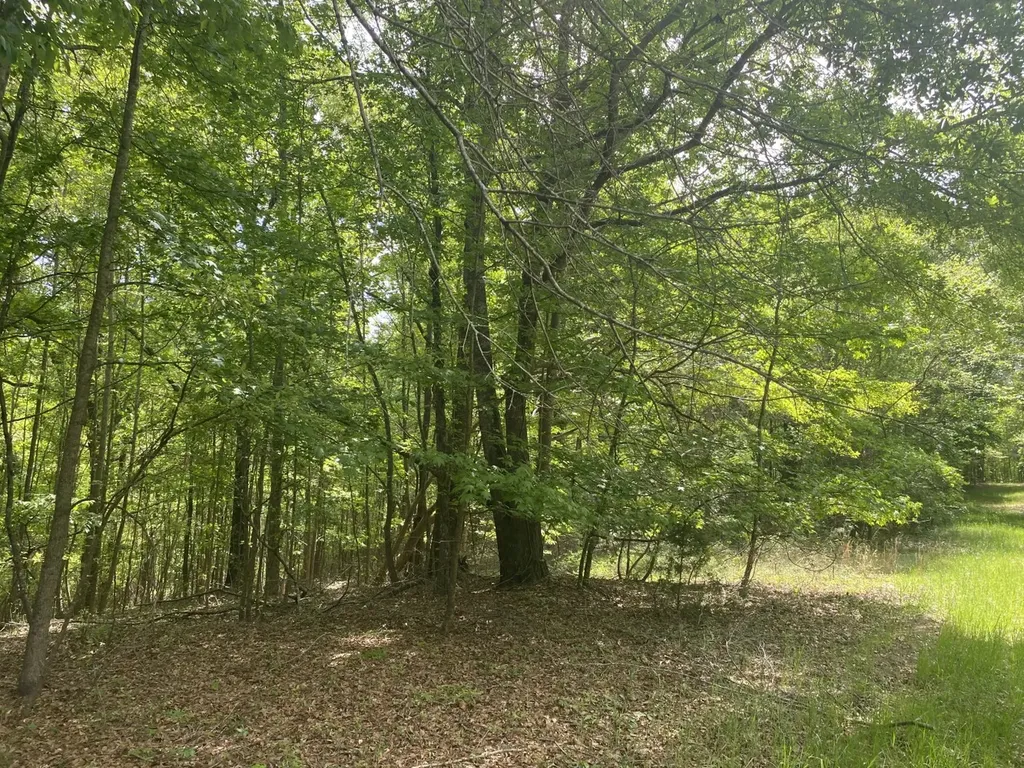 00 W Hickory Grove Road Lapine AL 36046