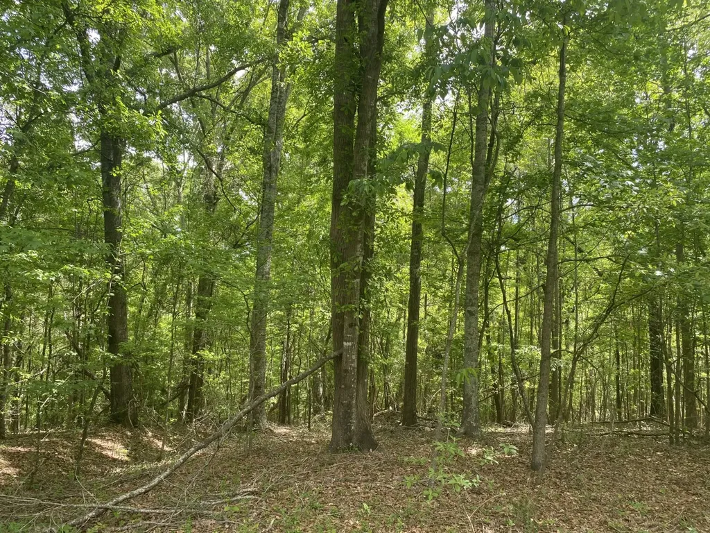 00 W Hickory Grove Road Lapine AL 36046