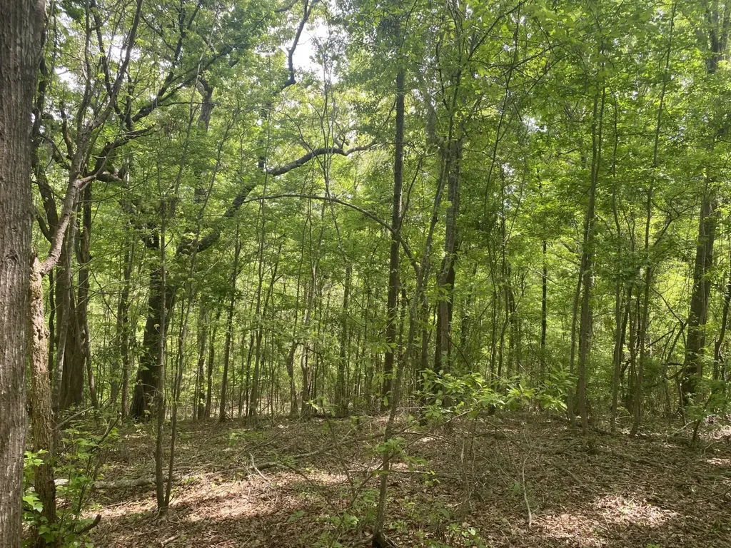 00 W Hickory Grove Road Lapine AL 36046