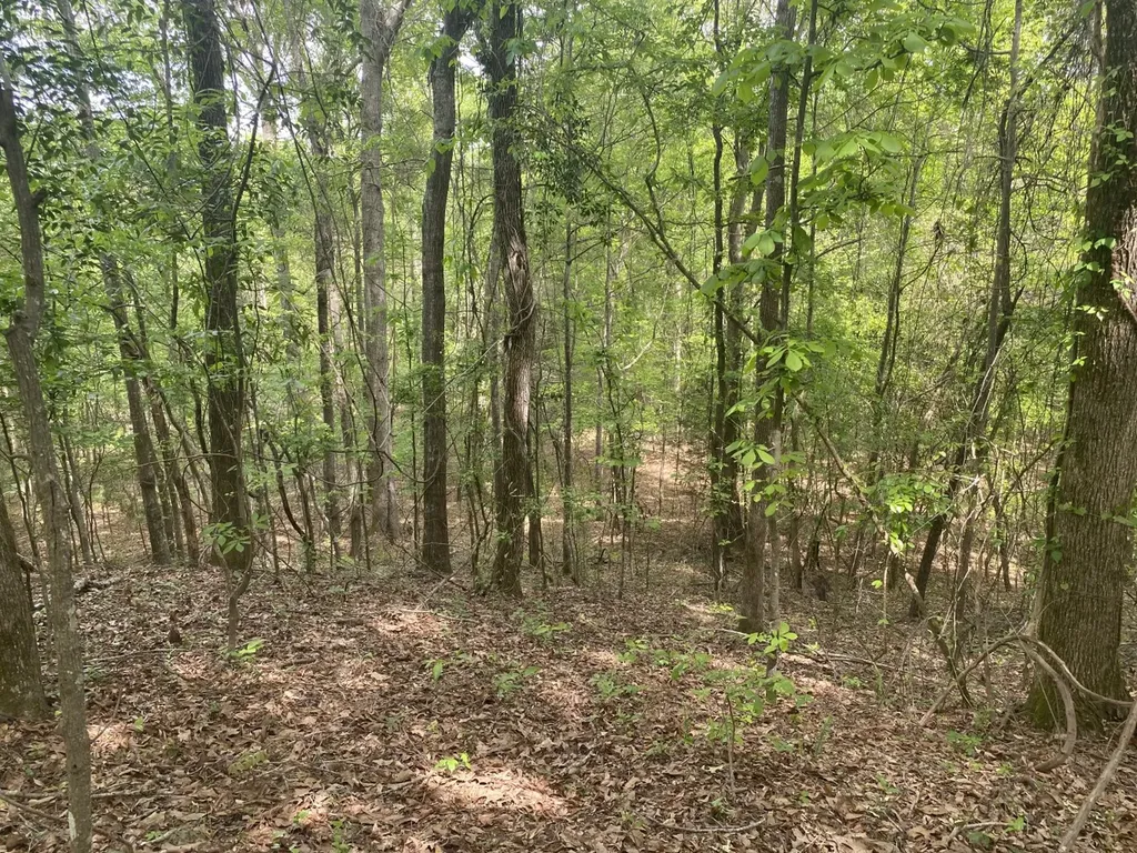 00 W Hickory Grove Road Lapine AL 36046