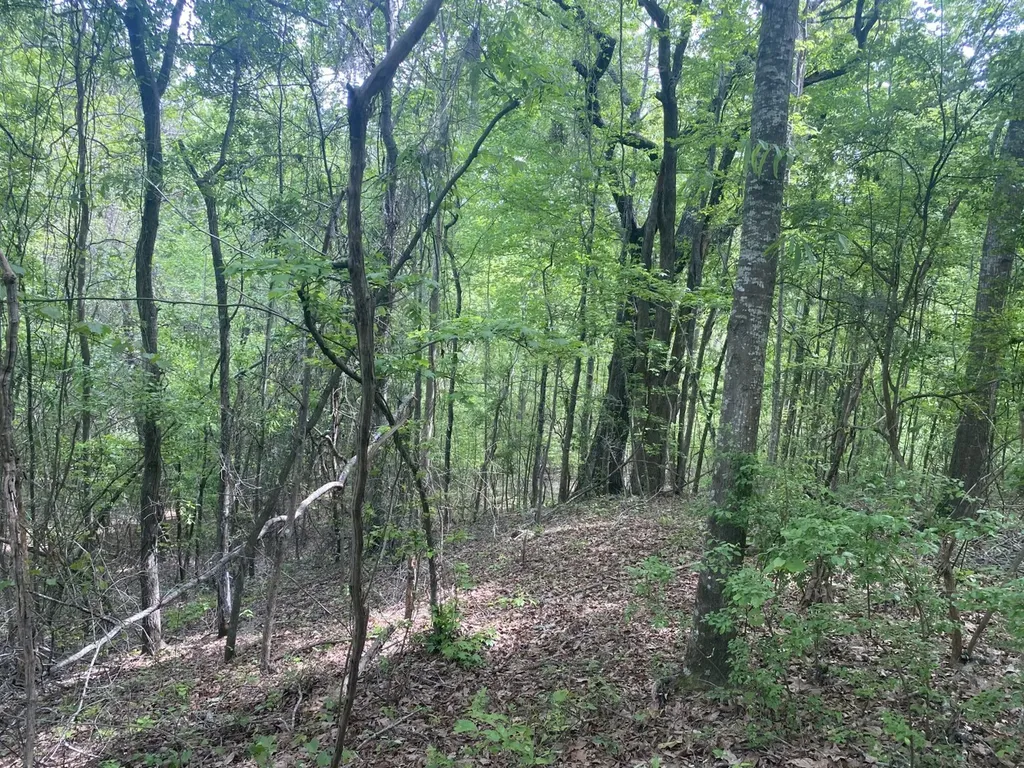 00 W Hickory Grove Road Lapine AL 36046