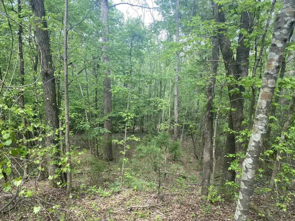 00 W Hickory Grove Road Lapine AL 36046