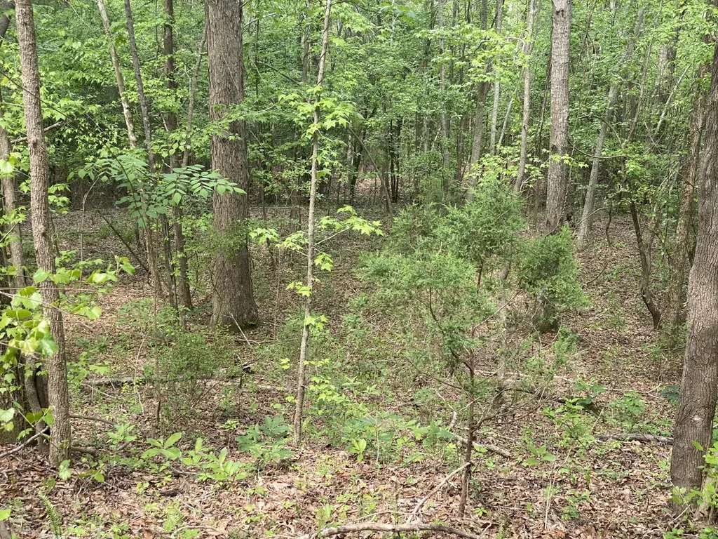 00 W Hickory Grove Road Lapine AL 36046