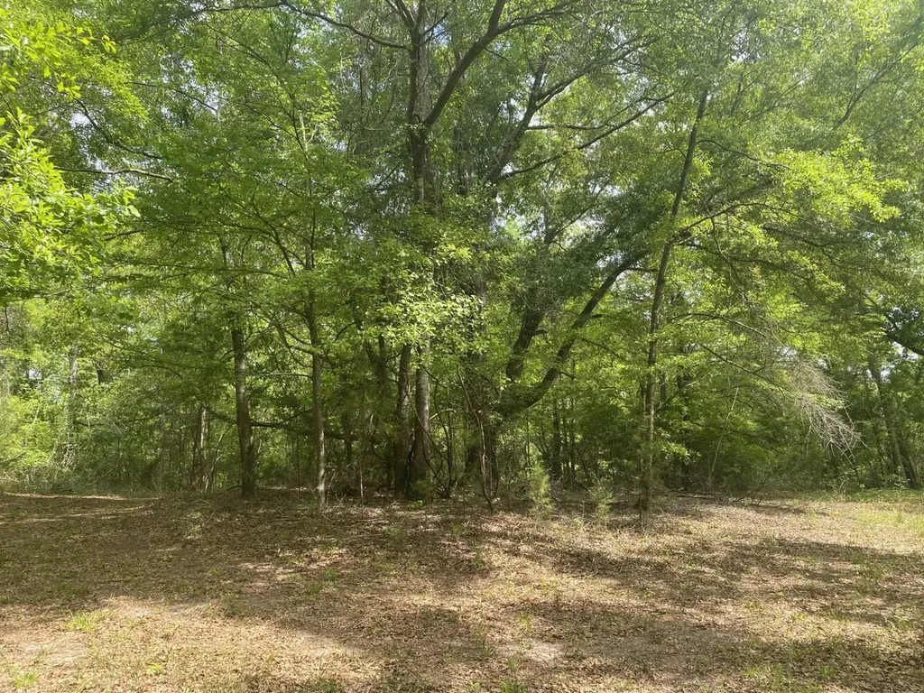 00 W Hickory Grove Road Lapine AL 36046