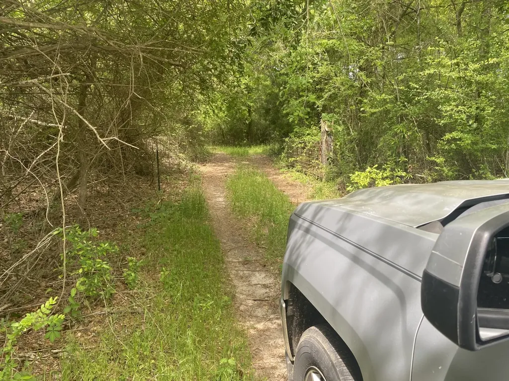 00 W Hickory Grove Road Lapine AL 36046