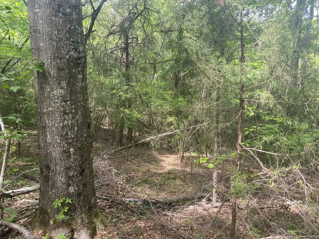 00 W Hickory Grove Road Lapine AL 36046